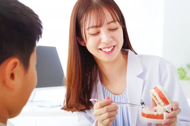 歯の模型で説明する東洞院はやし歯科の女性歯科医師
